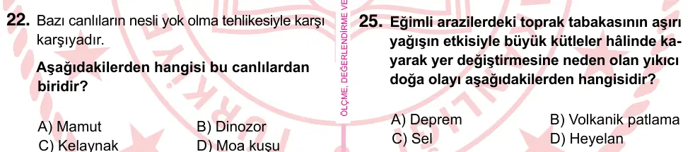 5. Sınıf Fen Bilimleri 2022 İOKBS Bursluluk Sınavı 25. Soru görseli