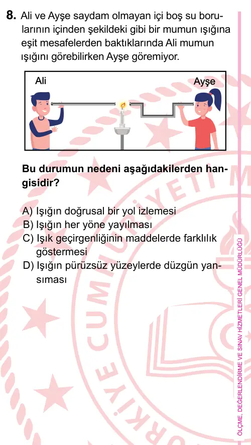 5. Sınıf Fen Bilimleri 2022 İOKBS Bursluluk Sınavı 8. Soru görseli