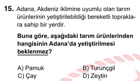 5. Sınıf Sosyal Bilgiler 2022 İOKBS Bursluluk Sınavı 15. Soru görseli