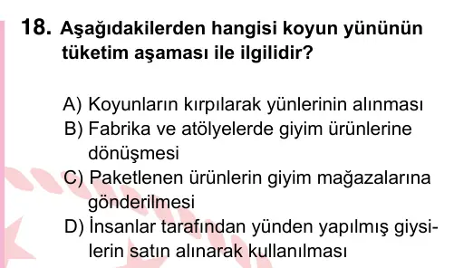 5. Sınıf Sosyal Bilgiler 2022 İOKBS Bursluluk Sınavı 18. Soru görseli