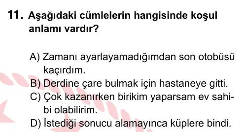 5. Sınıf Türkçe 2022 İOKBS Bursluluk Sınavı 11. Soru görseli