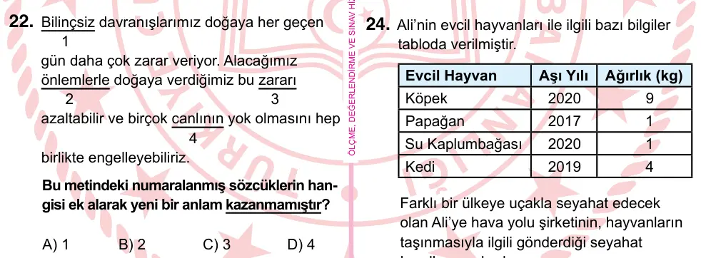 5. Sınıf Türkçe 2022 İOKBS Bursluluk Sınavı 22. Soru görseli