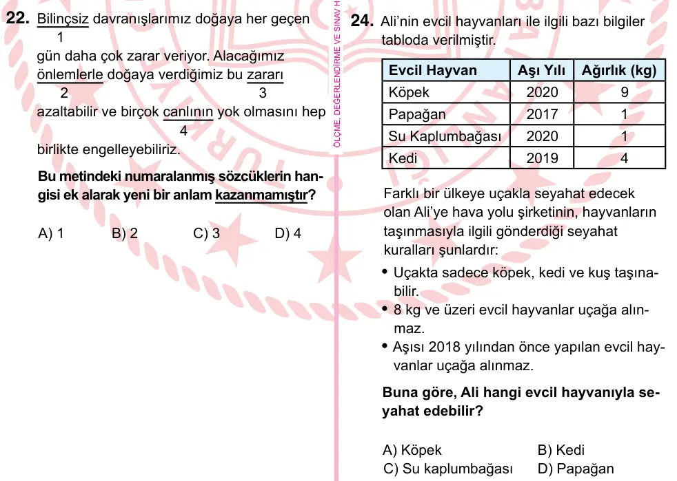 5. Sınıf Türkçe 2022 İOKBS Bursluluk Sınavı 24. Soru görseli