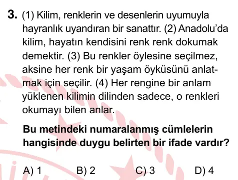 5. Sınıf Türkçe 2022 İOKBS Bursluluk Sınavı 3. Soru görseli