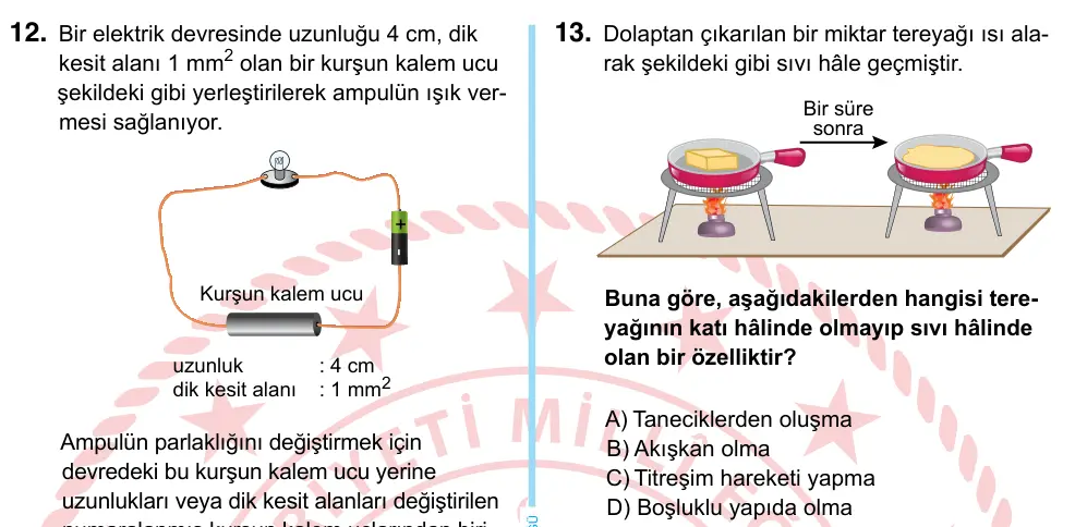 6. Sınıf Fen Bilimleri 2022 İOKBS Bursluluk Sınavı 13. Soru görseli