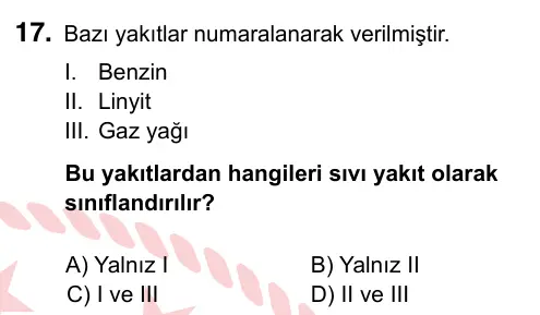 6. Sınıf Fen Bilimleri 2022 İOKBS Bursluluk Sınavı 17. Soru görseli