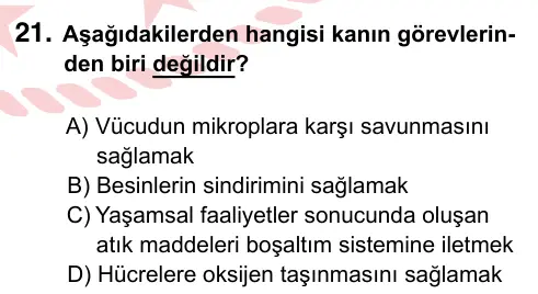 6. Sınıf Fen Bilimleri 2022 İOKBS Bursluluk Sınavı 21. Soru görseli