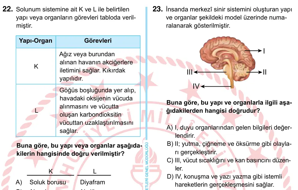 6. Sınıf Fen Bilimleri 2022 İOKBS Bursluluk Sınavı 23. Soru görseli