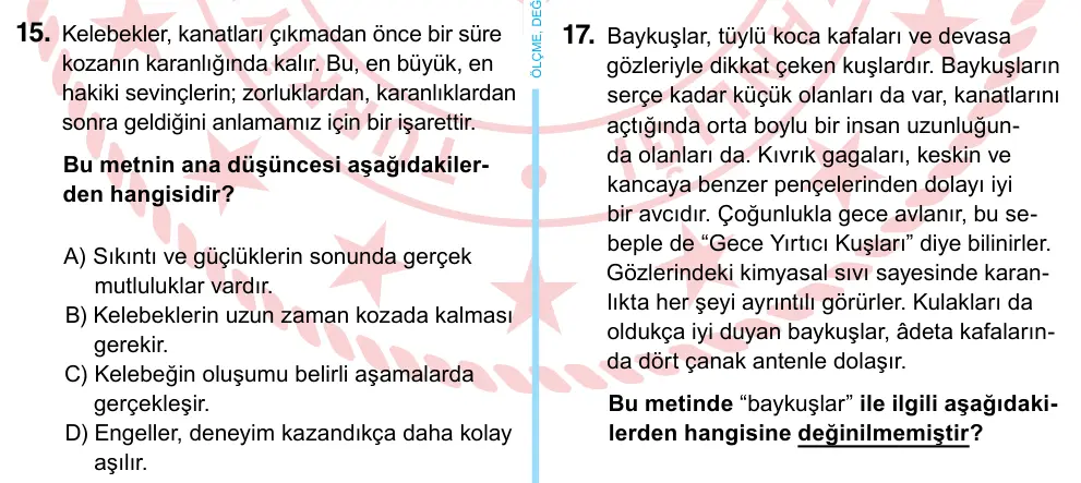 6. Sınıf Türkçe 2022 İOKBS Bursluluk Sınavı 15. Soru görseli