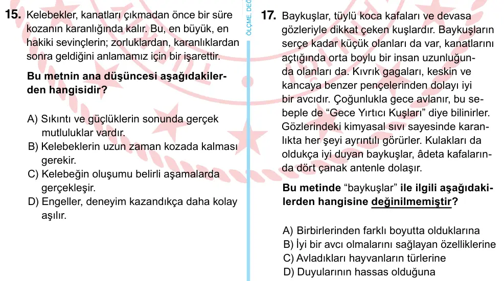 6. Sınıf Türkçe 2022 İOKBS Bursluluk Sınavı 17. Soru görseli