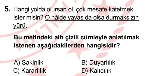 6. Sınıf Türkçe 2022 İOKBS Bursluluk Sınavı 5. Soru görseli