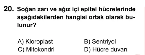 7. Sınıf Fen Bilimleri 2022 İOKBS Bursluluk Sınavı 20. Soru görseli
