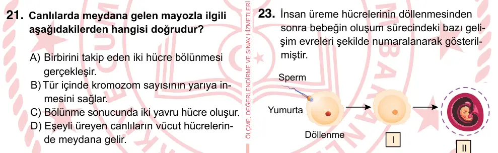 7. Sınıf Fen Bilimleri 2022 İOKBS Bursluluk Sınavı 21. Soru görseli