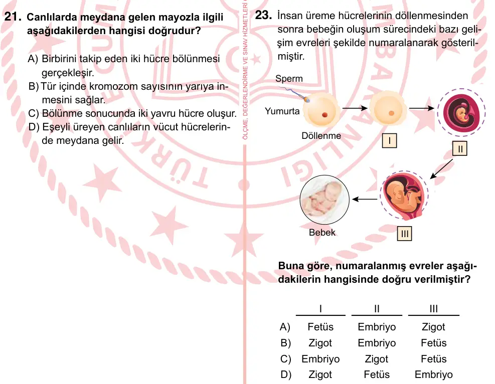 7. Sınıf Fen Bilimleri 2022 İOKBS Bursluluk Sınavı 23. Soru görseli