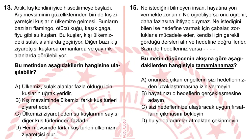 7. Sınıf Türkçe 2022 İOKBS Bursluluk Sınavı 13. Soru görseli