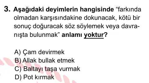 7. Sınıf Türkçe 2022 İOKBS Bursluluk Sınavı 3. Soru görseli