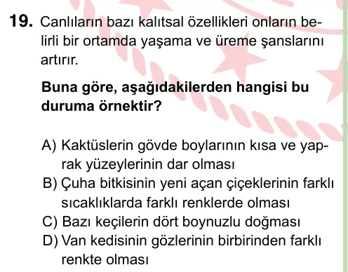 8. Sınıf ve Hazırlık Fen Bilimleri 2022 İOKBS Bursluluk Sınavı 19. Soru görseli