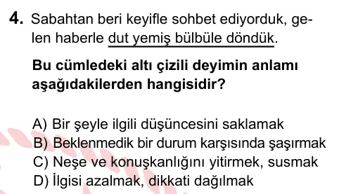 8. Sınıf ve Hazırlık Türkçe 2022 İOKBS Bursluluk Sınavı 4. Soru görseli