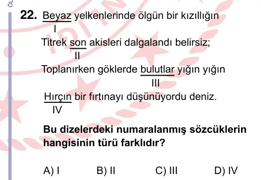 9, 10, 11. Sınıf Türk Dili ve Edebiyatı 2022 İOKBS Bursluluk Sınavı 22. Soru görseli