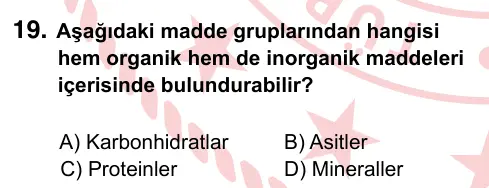 9, 10, 11. Sınıf Fen Bilimleri 2022 İOKBS Bursluluk Sınavı 19. Soru görseli