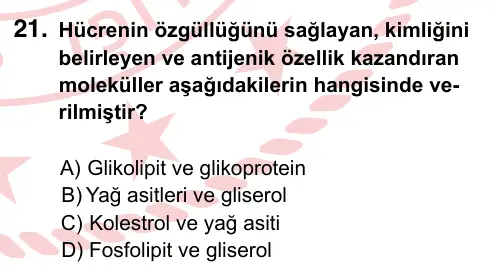 9, 10, 11. Sınıf Fen Bilimleri 2022 İOKBS Bursluluk Sınavı 21. Soru görseli