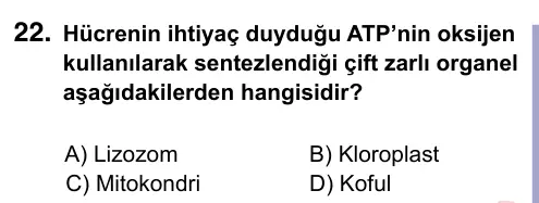 9, 10, 11. Sınıf Fen Bilimleri 2022 İOKBS Bursluluk Sınavı 22. Soru görseli