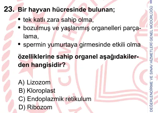 9, 10, 11. Sınıf Fen Bilimleri 2022 İOKBS Bursluluk Sınavı 23. Soru görseli