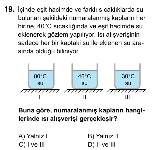 5. Sınıf Fen Bilimleri 2023 İOKBS Bursluluk Sınavı 19. Soru görseli