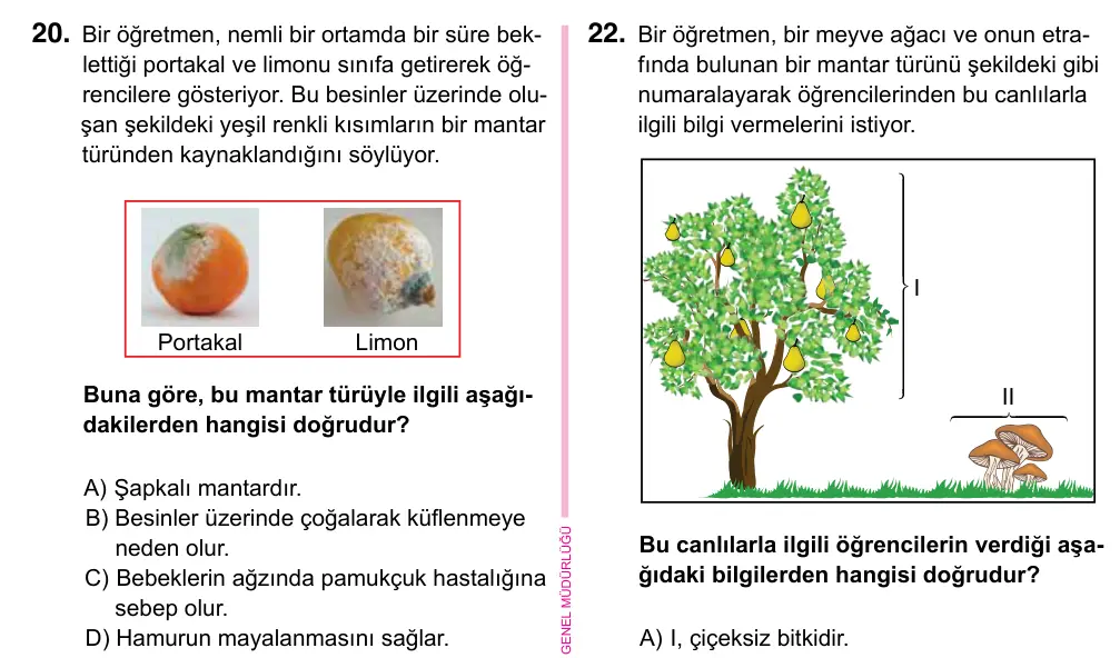 5. Sınıf Fen Bilimleri 2023 İOKBS Bursluluk Sınavı 20. Soru görseli