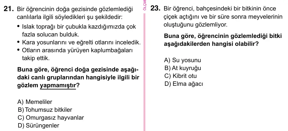 5. Sınıf Fen Bilimleri 2023 İOKBS Bursluluk Sınavı 21. Soru görseli