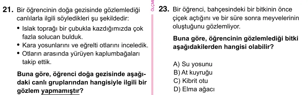 5. Sınıf Fen Bilimleri 2023 İOKBS Bursluluk Sınavı 23. Soru görseli