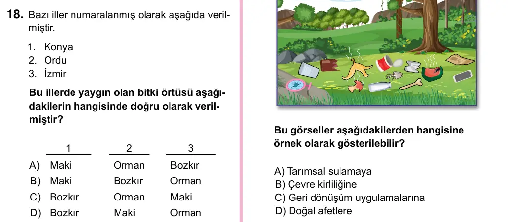 5. Sınıf Sosyal Bilgiler 2023 İOKBS Bursluluk Sınavı 18. Soru görseli