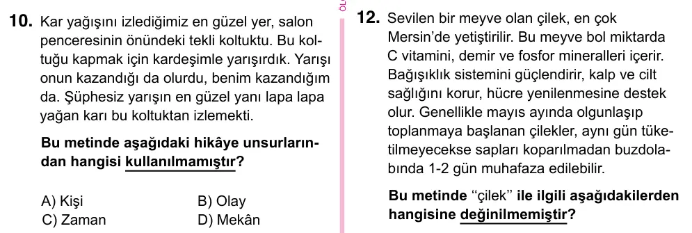 5. Sınıf Türkçe 2023 İOKBS Bursluluk Sınavı 10. Soru görseli