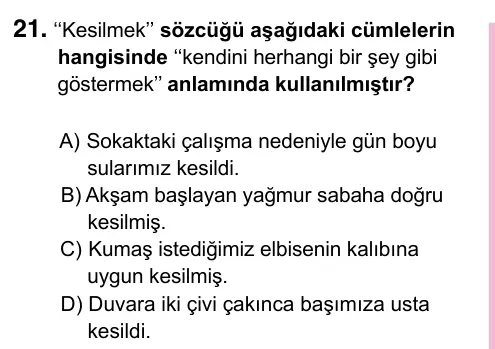 5. Sınıf Türkçe 2023 İOKBS Bursluluk Sınavı 21. Soru görseli