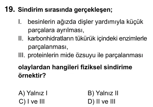 6. Sınıf Fen Bilimleri 2023 İOKBS Bursluluk Sınavı 19. Soru görseli