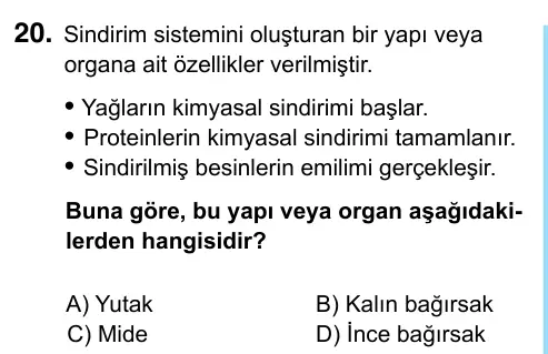 6. Sınıf Fen Bilimleri 2023 İOKBS Bursluluk Sınavı 20. Soru görseli