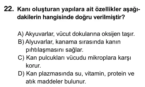 6. Sınıf Fen Bilimleri 2023 İOKBS Bursluluk Sınavı 22. Soru görseli