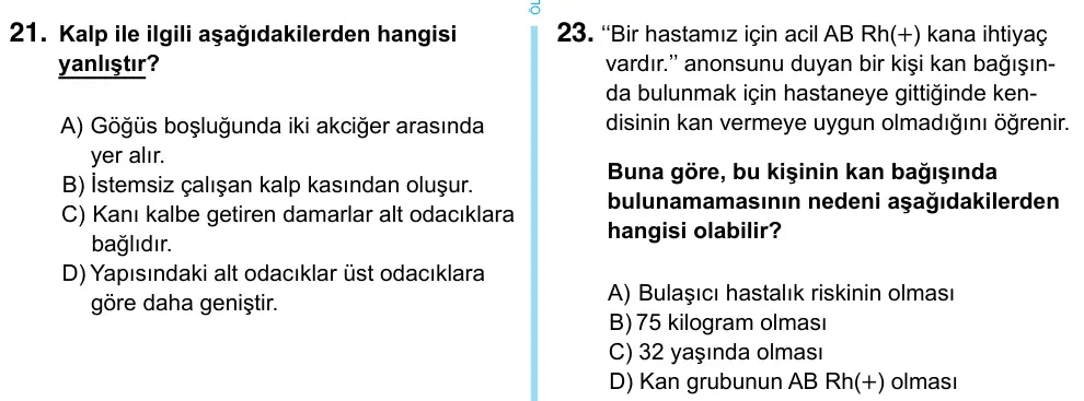 6. Sınıf Fen Bilimleri 2023 İOKBS Bursluluk Sınavı 23. Soru görseli