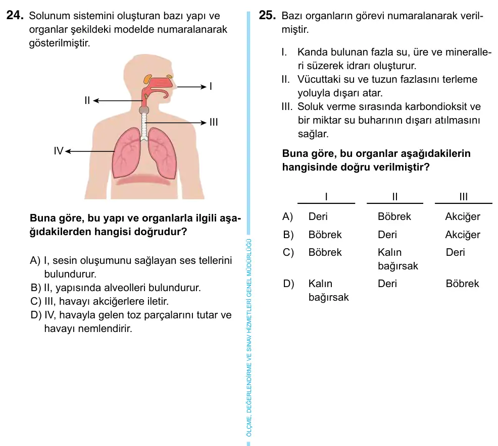 6. Sınıf Fen Bilimleri 2023 İOKBS Bursluluk Sınavı 24. Soru görseli
