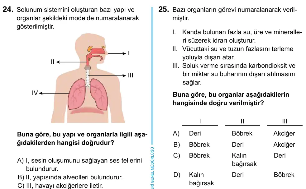 6. Sınıf Fen Bilimleri 2023 İOKBS Bursluluk Sınavı 25. Soru görseli