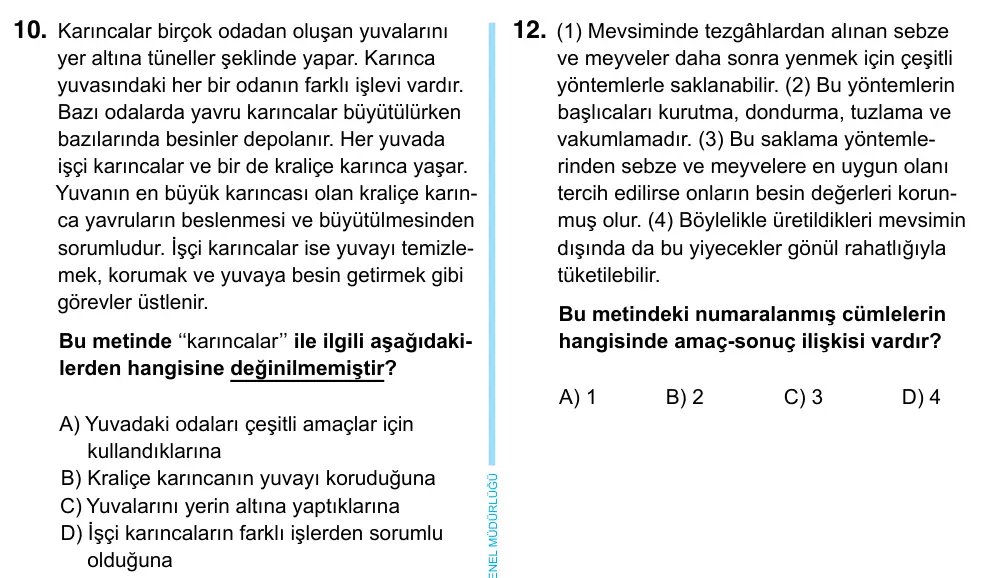 6. Sınıf Türkçe 2023 İOKBS Bursluluk Sınavı 10. Soru görseli
