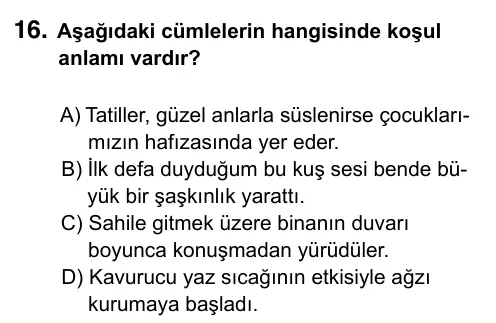 6. Sınıf Türkçe 2023 İOKBS Bursluluk Sınavı 16. Soru görseli
