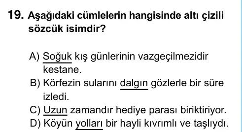 6. Sınıf Türkçe 2023 İOKBS Bursluluk Sınavı 19. Soru görseli