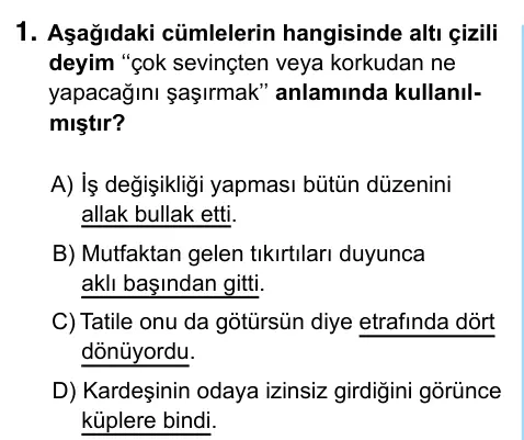 6. Sınıf Türkçe 2023 İOKBS Bursluluk Sınavı 1. Soru görseli