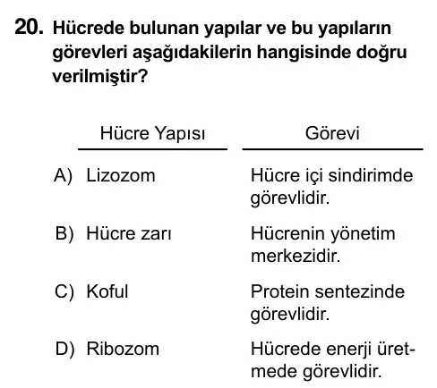 7. Sınıf Fen Bilimleri 2023 İOKBS Bursluluk Sınavı 20. Soru görseli