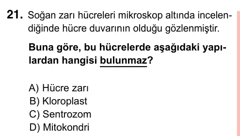 7. Sınıf Fen Bilimleri 2023 İOKBS Bursluluk Sınavı 21. Soru görseli