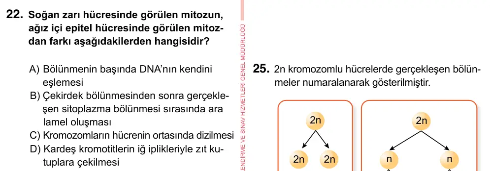7. Sınıf Fen Bilimleri 2023 İOKBS Bursluluk Sınavı 22. Soru görseli