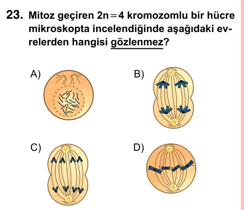 7. Sınıf Fen Bilimleri 2023 İOKBS Bursluluk Sınavı 23. Soru görseli