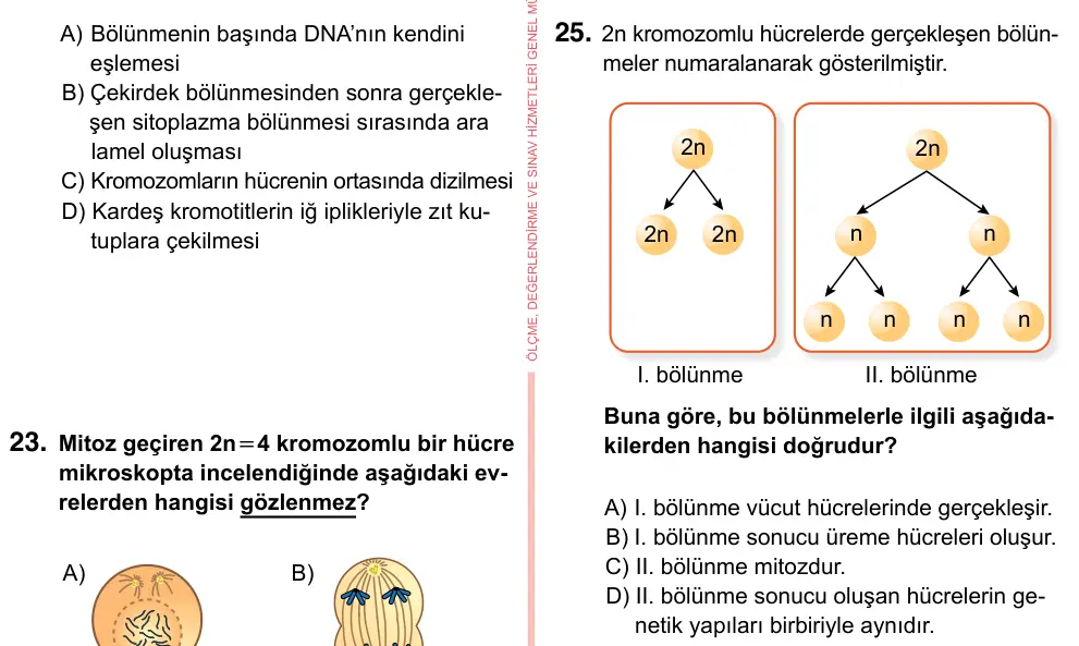 7. Sınıf Fen Bilimleri 2023 İOKBS Bursluluk Sınavı 25. Soru görseli
