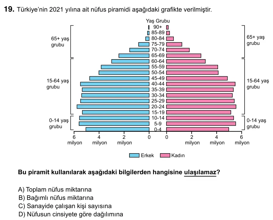 7. Sınıf Sosyal Bilgiler 2023 İOKBS Bursluluk Sınavı 19. Soru görseli